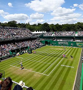 Polona Hercog znova dovolila preobrat in izgubila v Birminghamu!