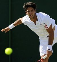 Fernando Verdasco : 